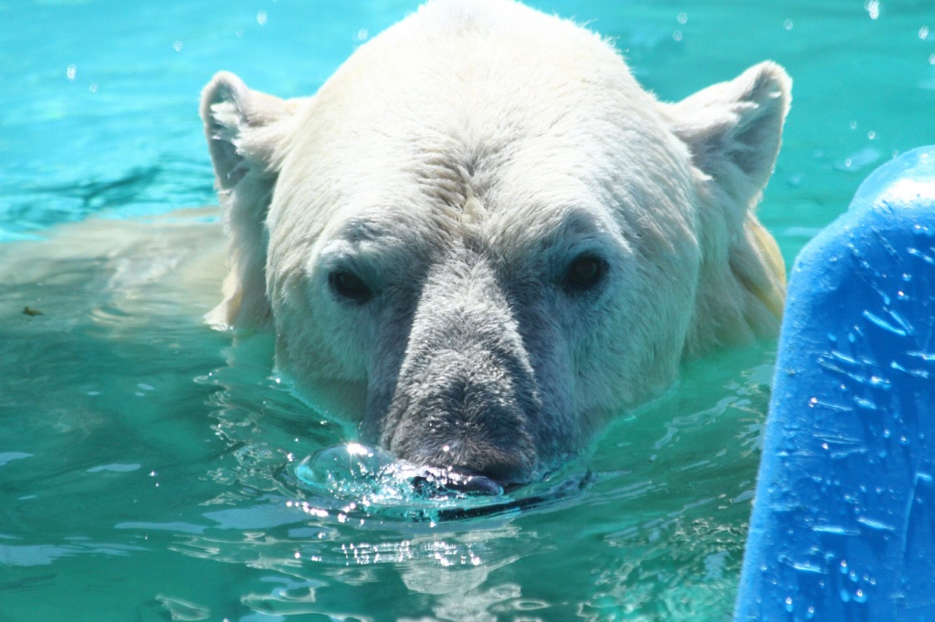 ������� ��������CAMC9710.jpg